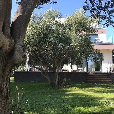 Punta Lux * Sukošan